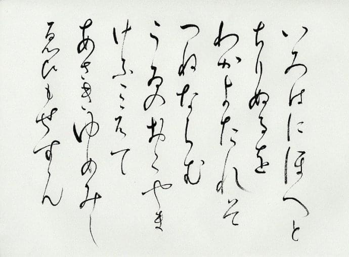 1-20170805195912.jpg