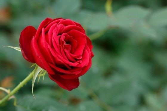 1dadbd50e34f36cd0e5ce76b822a23f1.jpg