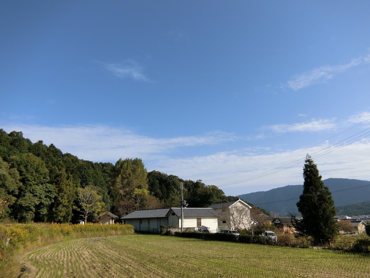 CIMG1350.JPG