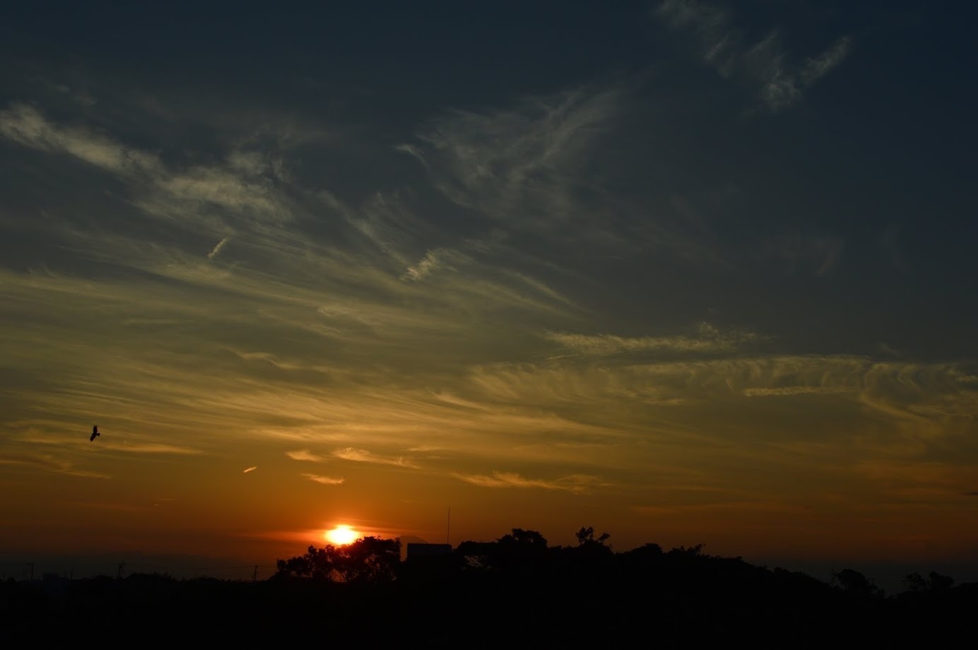 DSC_0107.JPG
