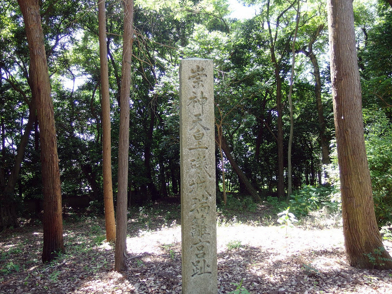 IMGP5847.JPG