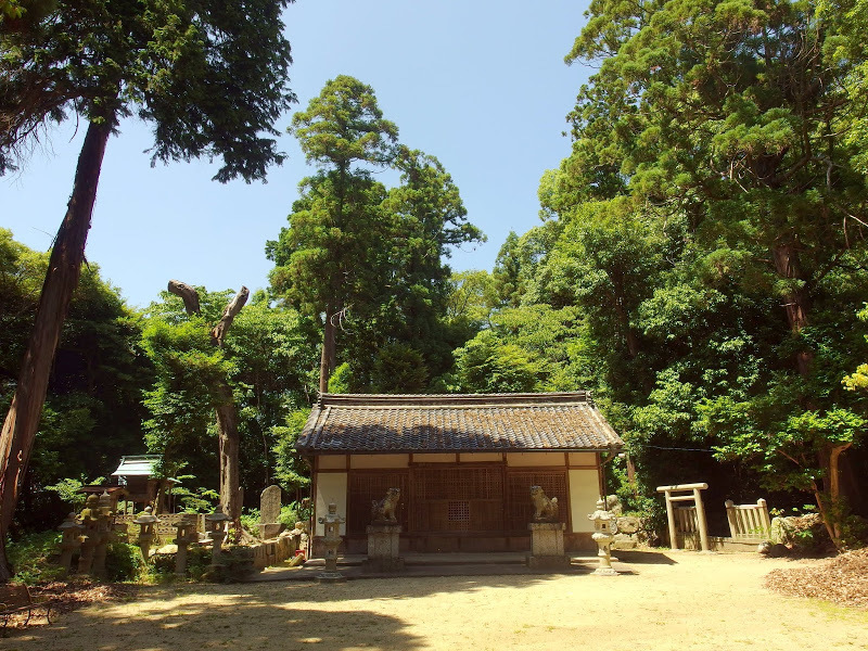 IMGP5850.JPG