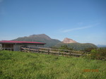 IMG_4996.jpg