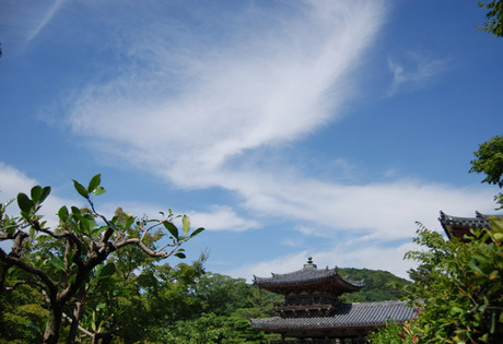 dsf_0086a.jpg