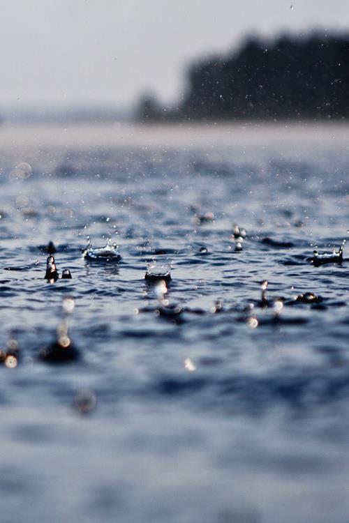rain drops .jpg